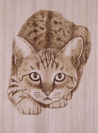 �_���L-�C���O