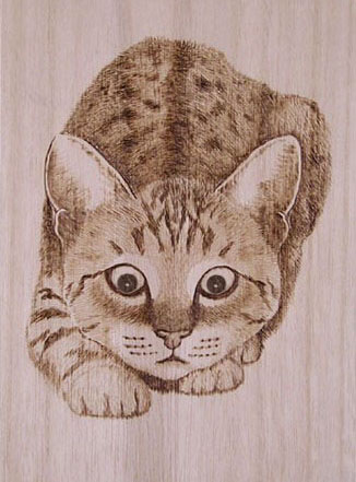 �_���L-�C����