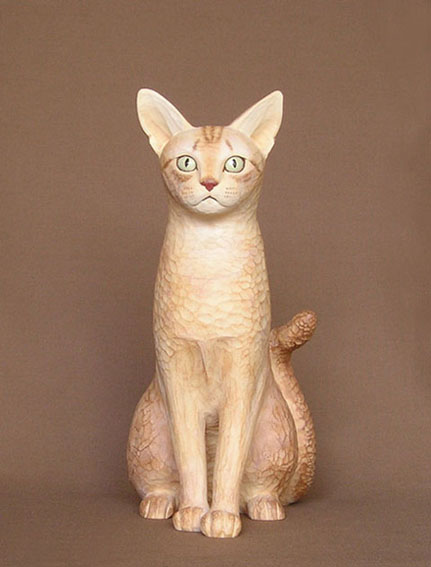 �A�r�V�j�A��-����