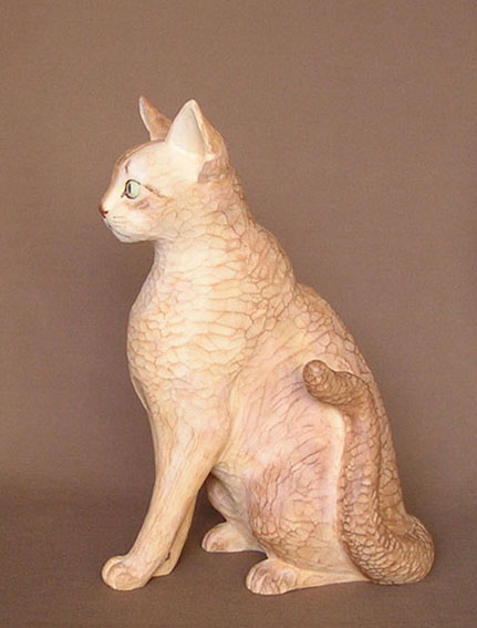 �A�r�V�j�A��-��