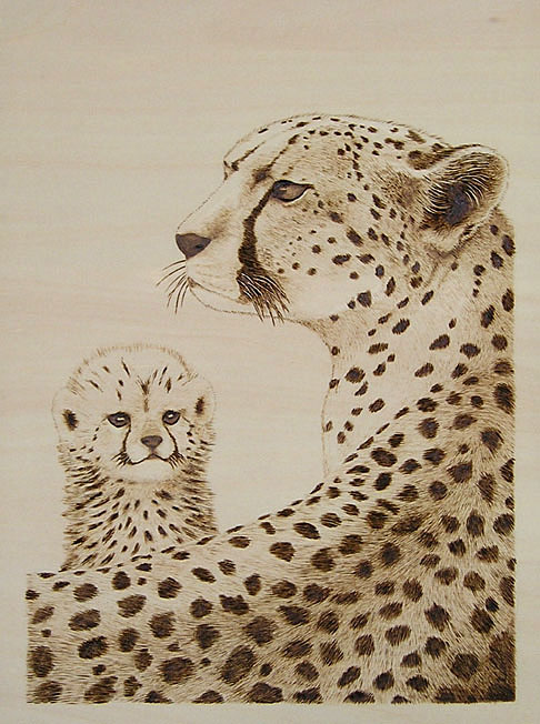 �`�[�^�[�e�q2