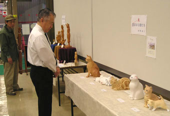 �k����s�D�y�x�X���r�[