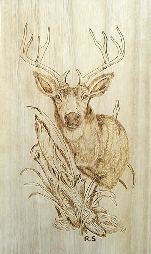 初めての焼き絵